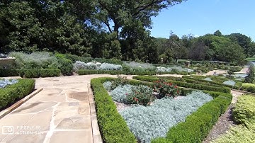 Firefly 8S @ 2.7K with Zhiyun Smooth Q Gimbal