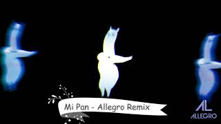 Mi Pan Su Su Sum - ALOK Style Remix (ALLEGRO TikTok Edit)