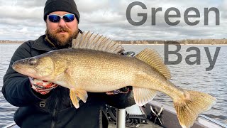 Green Bay Pre-Spawn Walleyes-April 2022