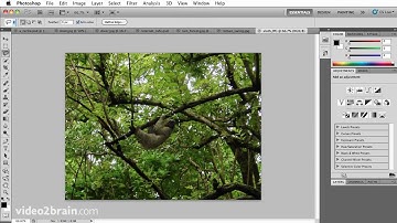 Cutting an object out of a photo using Photoshop CS5