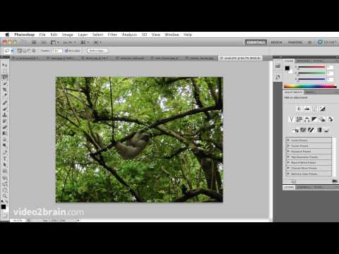 Cutting an object out of a photo using Photoshop CS