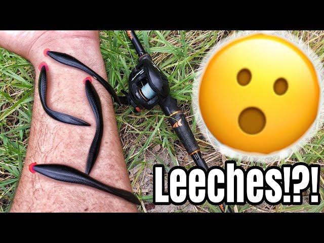 Fishing With Leeches!?! Surprising Outcome! 