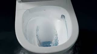 Experience the Future of Hygiene: Roca In-Wash® Vorea