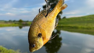 Fishing For Pond Monsters In Our Back Yard With Live Bluegill!