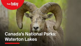 Canada’s National Parks | Waterton Lakes | TVO Documentary