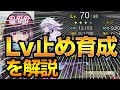 【FGO】なぜLv70？低レベル止め育成についての解説とおすすめサーヴァントを紹介。