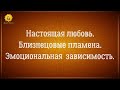 Любовь настоящая и земная. Эмоциональная зависимость. Близнецовые пламена.