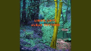 Self Destruction Button