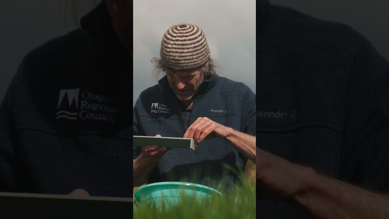 Building a Galaxiid Sanctuary with Junior Landcare West Otago, Tapanui