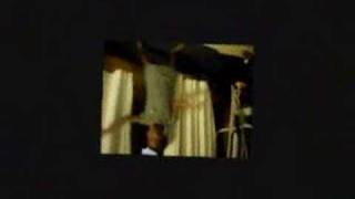 J Holiday Bed Jaliyah Style