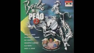 CD BAILÃO DE PEÃO NACIONAL VOL 2 1997