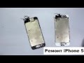 Ремонт iPhone 5. Замена дисплея, замена корпуса, замена аккумулятора на iPhone 5