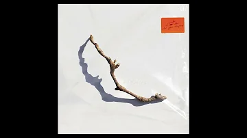 PJ Harvey - August (Official Audio)