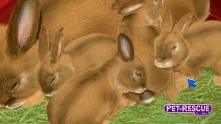 Barbie Pet Rescue - Part 1 screenshot 5
