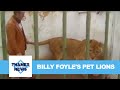 Billy Foyle's Pet Lions | Thames News