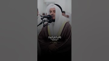 كلا اذا بلغت التراقي وقيل من راق - سورة القيامة - القارى مشاري راشد العفاسي