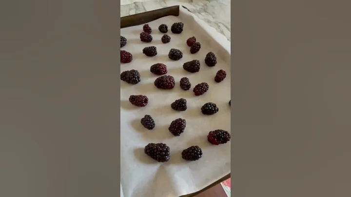 Flash Freezing My Organic Blackberries