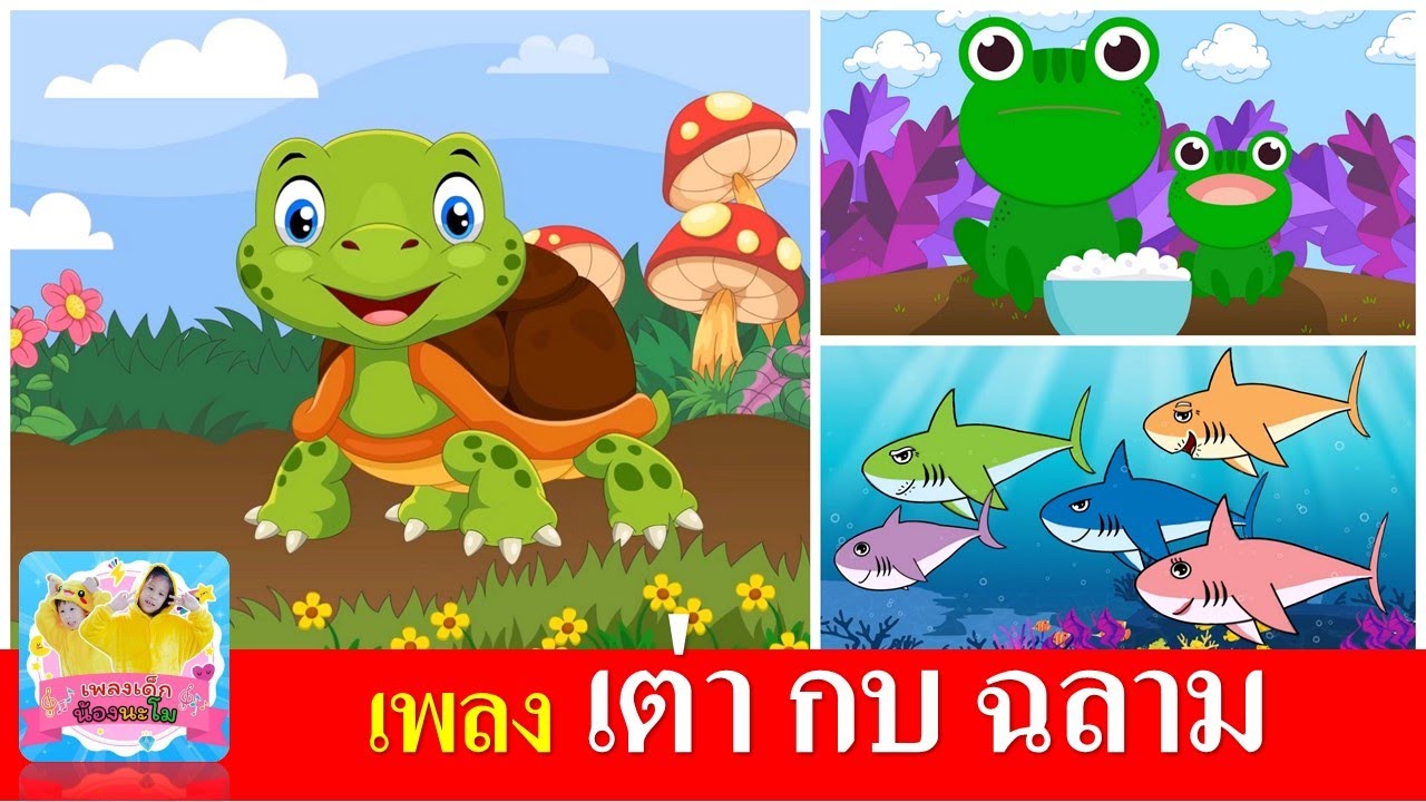 เพลงเด็ก เต่า กบ ฉลาม | เต่าเอ๋ยเต่า | กบเอยทำไมจึงร้อง | ปลาฉลาม (baby shark ภาษาไทย)