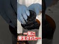 NASAで開発されたUMA未確認生物を巨大化させていく・・・