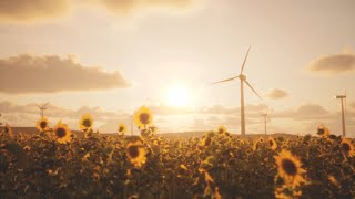 FILM EMULATION in UNREAL ENGINE 5