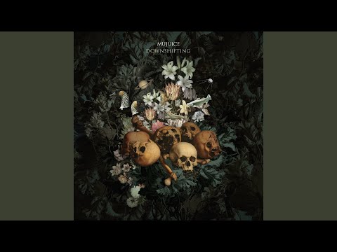 Mujuice - System