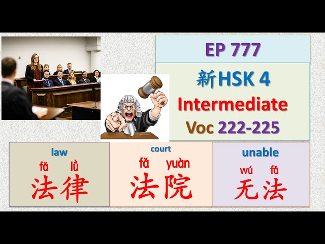 [EP 777] New HSK 4 Voc 222-225 (Intermediate): 法、法官、法律、法院 || 新汉语水平3.0中级词汇4 || Join My Daily Live
