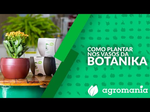 Vídeo: Uma Curiosidade De Floricultura De Interior, Ou Um Vaso Autorregável