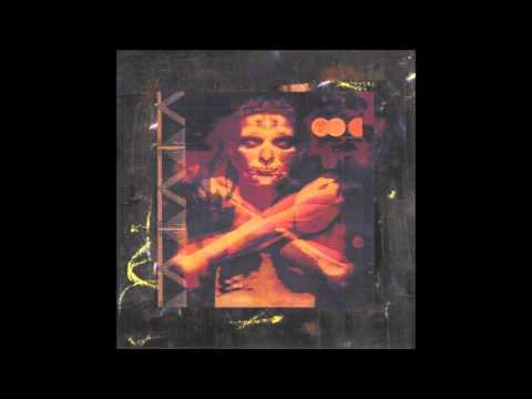 Final Cut — Final Cut - The Shake