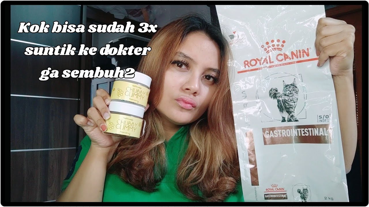 Kucing Diare terus menerus?? Review Lengkap Royal Canin Gastro dan