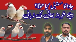 Future of Java Birds in 2024 @duabirds007
