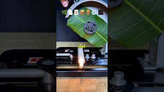 Cutting a Candle Made the Cardboard Catch Fire!