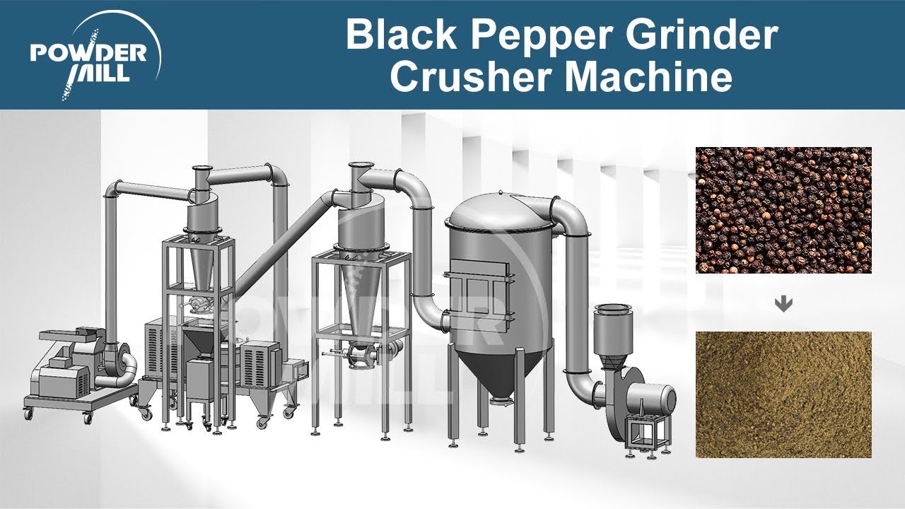 Black Pepper Grinder Crusher Machine, Black Pepper Crushing Machine