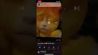 Why I hate Morgz (Sequel, Read Description)