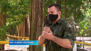 Destruir Ninhos De Maritacas É Crime Ambiental