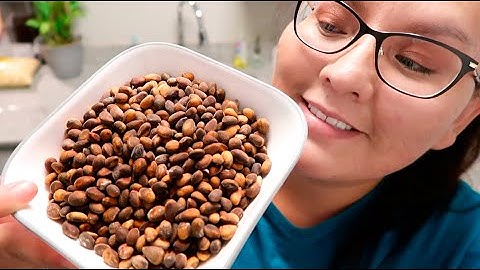 ROASTING PIÑONS WITH SIERRA