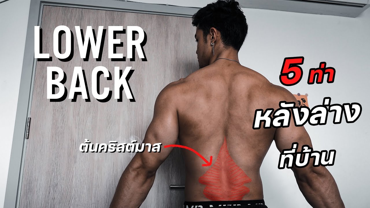 ท่าเล่นหลัง  2022 Update  5 ท่าเล่นหลังล่างที่บ้าน แข็งแรงไม่ปวดหลัง [Lower Back]