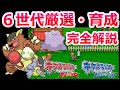 【厳選革命】6世代のポケモン厳選、育成方法を完全解説！【ポケモンXY ORAS リボンコンプ】