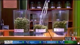 Jackson County residents react to primary election