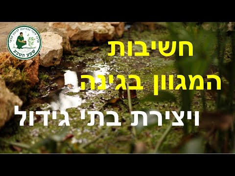 וִידֵאוֹ: בשם מגוון המינים