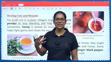 EVS 4 | Chapter 4 | Growing Up with Nature