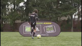 044 Shuffle Roll Stepover
