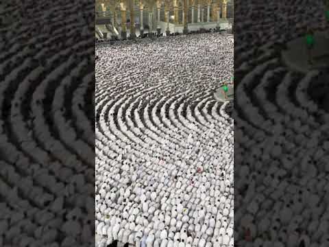 احنا العرب مهد الديانات حالات واتس اب