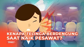 Telinga Berdengung Saat Naik Pesawat, Apa Penyebabnya?