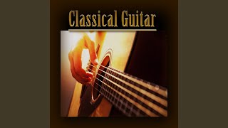 Video thumbnail of "Boccherini Guitar Quartet - Air on the G String"