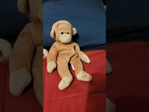 Como cuidar de um macaco.