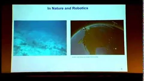 IMA Public Lectures: Collective Motion in Nature a...