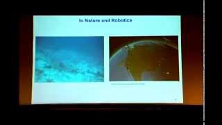 IMA Public Lectures: Collective Motion in Nature and Robotics; Naomi Ehrich Leonard
