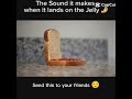 The Sound When It Hits The Jelly ЁЯШ тШ я П The Sound When It Hits The Jelly ЁЯШ тШ я П