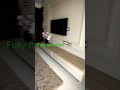 Aradhya Home 4bhk luxury floors#shorts#short#shortsvideo#gurugram#aradhyahomes