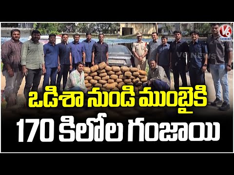 Madhapur SOT Police Caught 170 KGs Ganja packets At ICRISAT Toll Gate  | Sangareddy | V6 News - V6NEWSTELUGU